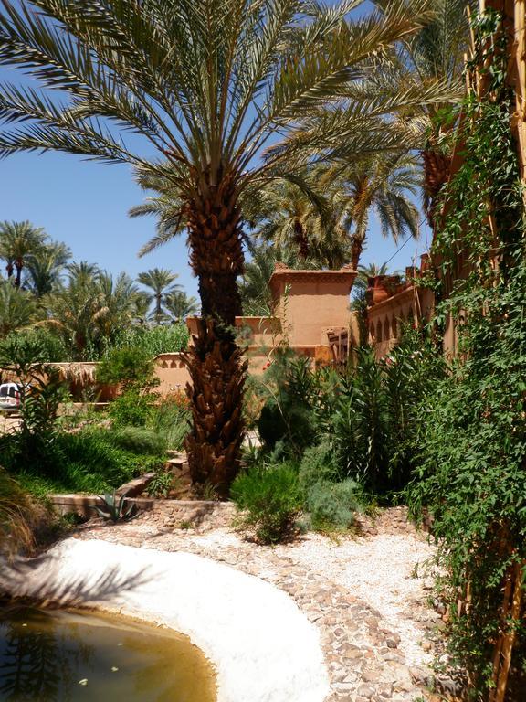 Ecolodge Bab El Oued Maroc Oasis Агдз Екстериор снимка