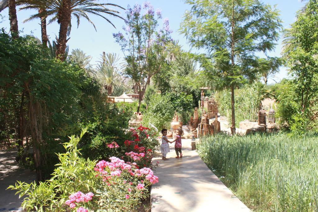 Ecolodge Bab El Oued Maroc Oasis Агдз Екстериор снимка