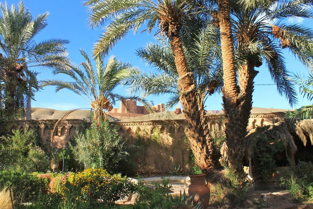 Ecolodge Bab El Oued Maroc Oasis Агдз Екстериор снимка