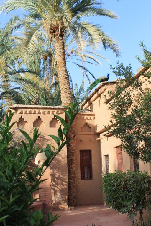 Ecolodge Bab El Oued Maroc Oasis Агдз Стая снимка