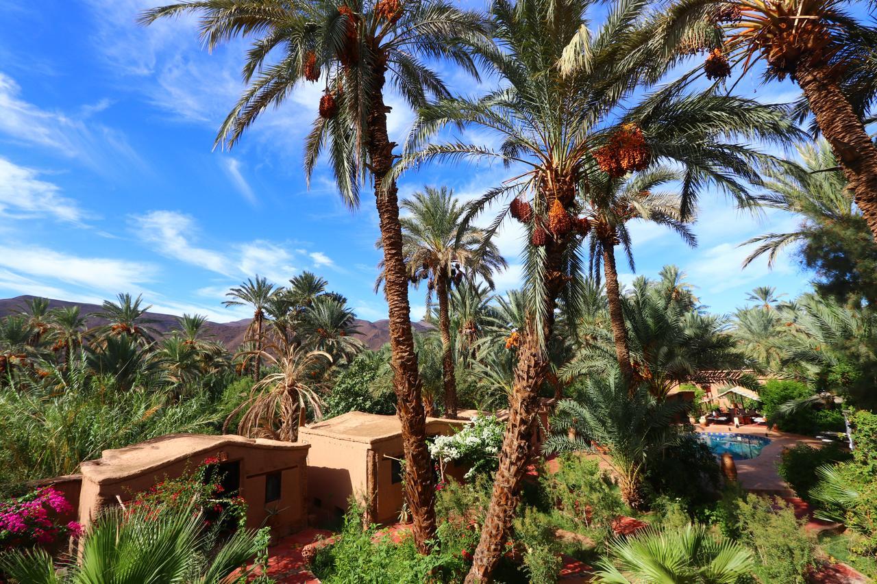 Ecolodge Bab El Oued Maroc Oasis Агдз Екстериор снимка