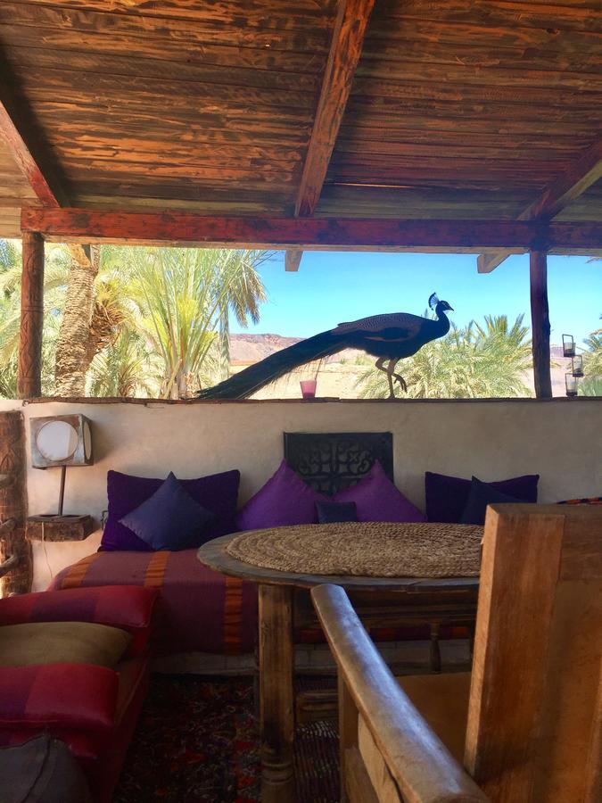 Ecolodge Bab El Oued Maroc Oasis Агдз Екстериор снимка