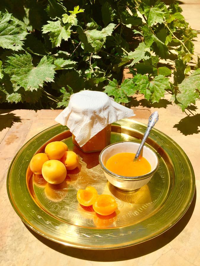 Ecolodge Bab El Oued Maroc Oasis Агдз Екстериор снимка