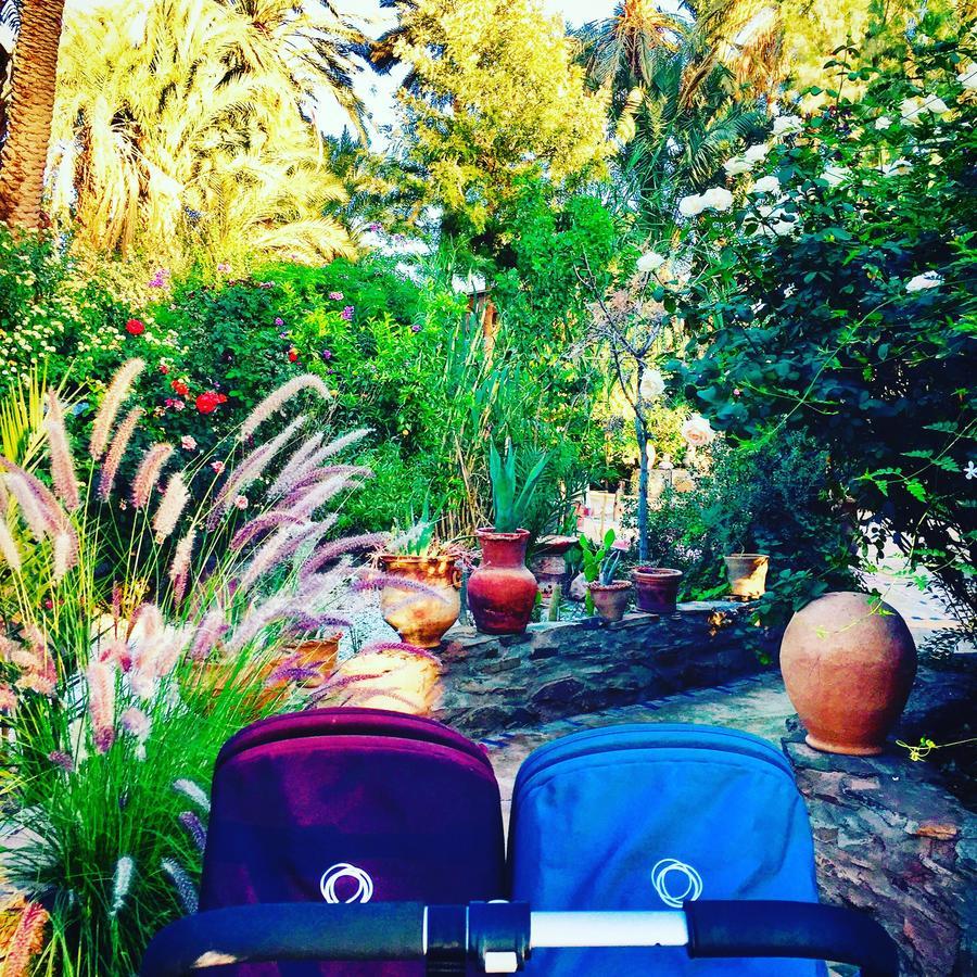Ecolodge Bab El Oued Maroc Oasis Агдз Екстериор снимка